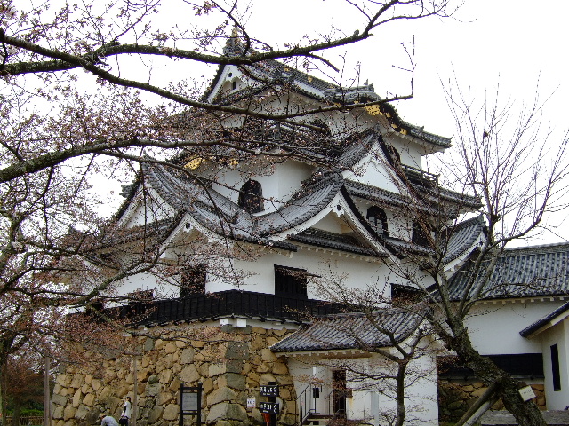 彦根城へ : 柴ポチダイアリー