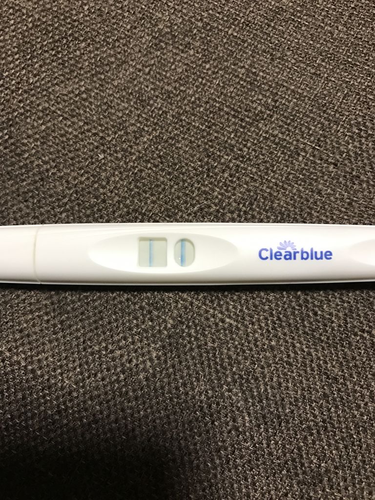 高温期14日目 フライング再び 2人目妊活はじめます