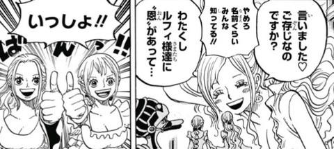 ワンピース ジャンプニエール