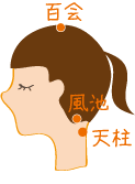 008-9jitsunetsutsubo