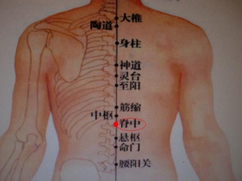 脊中穴