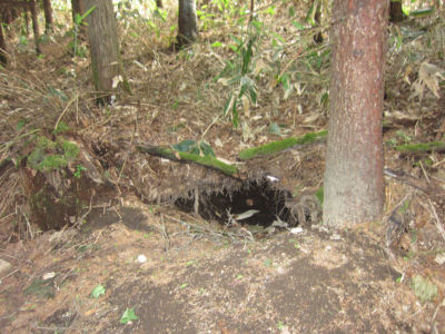 ヒグマ冬眠穴を発見 シービホロ ヒグマ冬眠穴を発見 シービホロ