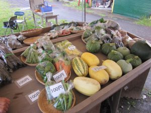 IMG_0191