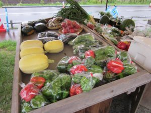 IMG_0192