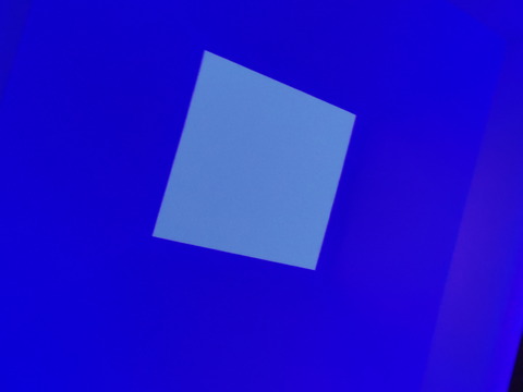 IMGP0126