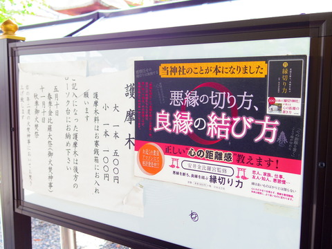 IMGP7191