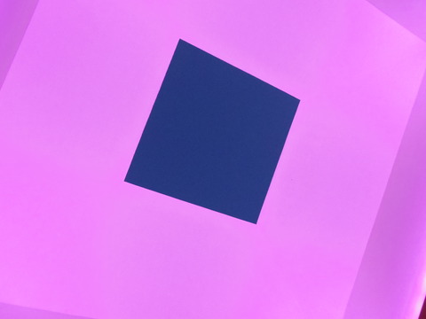IMGP0092