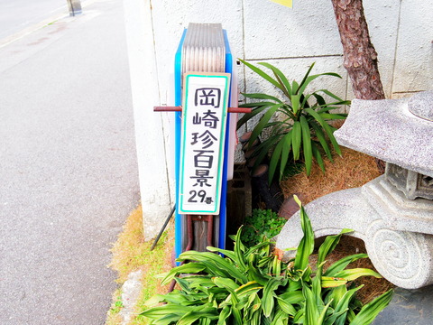 IMGP6176