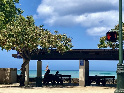 E15BA742-530E-4145-9A38-E44D70EBB055