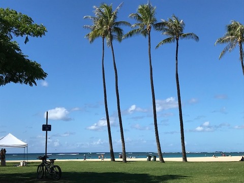 44CD6423-D64A-4359-9B9D-3F4B61D98940