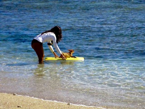 2343D7DD-8320-44B4-AEB1-44301A7C4499