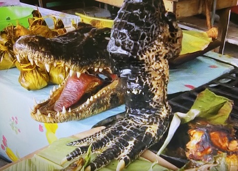 E8B79885-1894-4E24-8390-196830B8FCB6