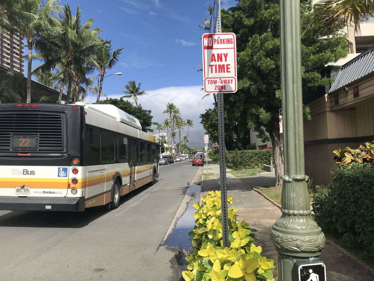 ザ・バス(The Bus)」の8番の乗り場が変わったよ〜！ : のほほん