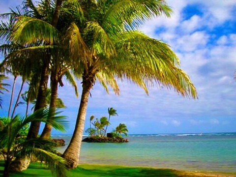 D55F72A1-9F14-47E7-A888-91A95B6DFC80