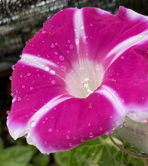 20730731-9546-4134-8F15-0B4E4CD8B89B