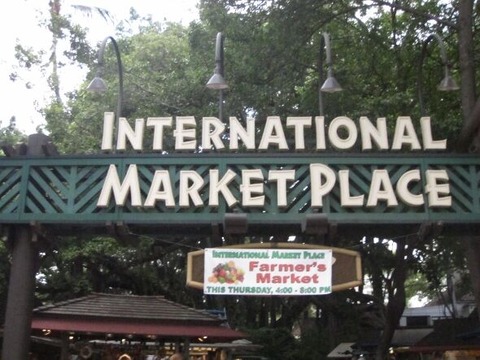 9B6F64B1-23A3-4C5F-A618-BEB42839078A