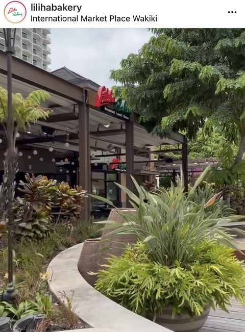 289B951A-9A1A-43FA-9A90-C1E3633B88A4