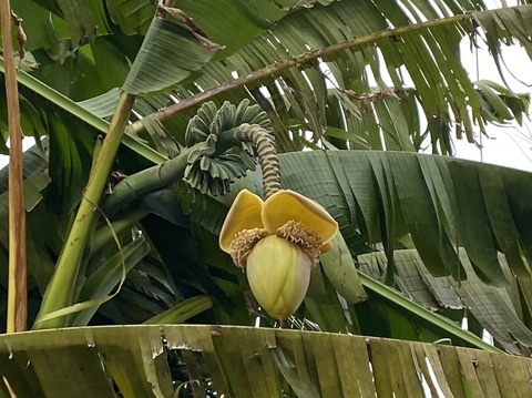 53CF1341-9583-41F3-95C0-B38D9407DB48