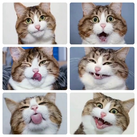 59027A11-C23F-4045-9E30-F1A68B8D84C5