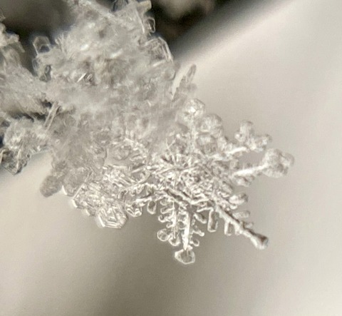 558CA7EC-58FD-4210-B93A-3107218FB42D