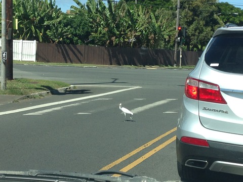 EF00589A-50BB-45B0-8485-F76E4700BC53