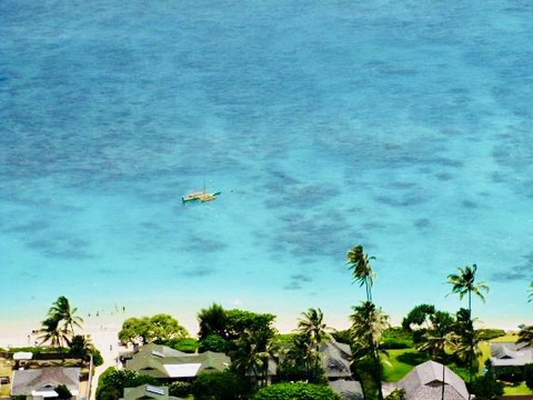 CBB98647-9F0C-4482-BF60-FCB9396A5D45