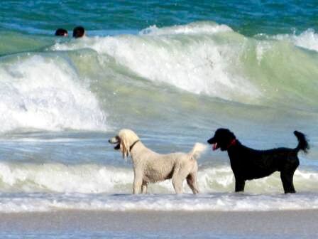 03ADC5B0-B551-4940-9903-F61B3A6C233F