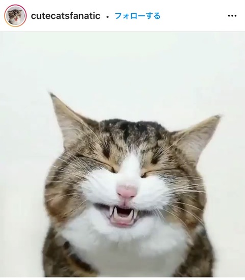 13A53199-9CCA-46CE-B400-3ECBA90E00C9