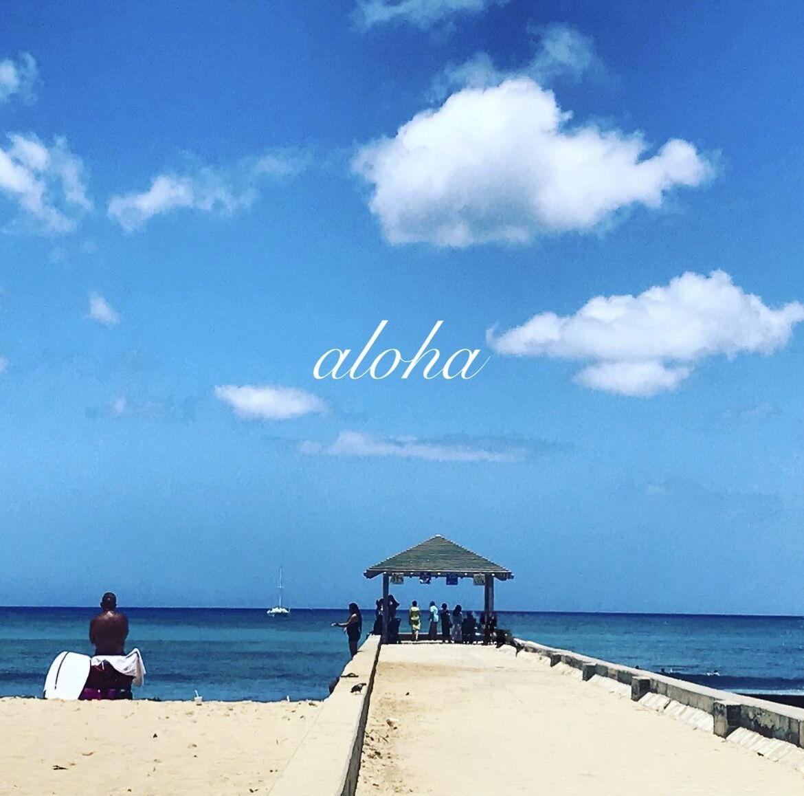 バスがモバイル決済〜ハワイは進んでいます〜！ : のほほん〜ハワイひとりごと♪