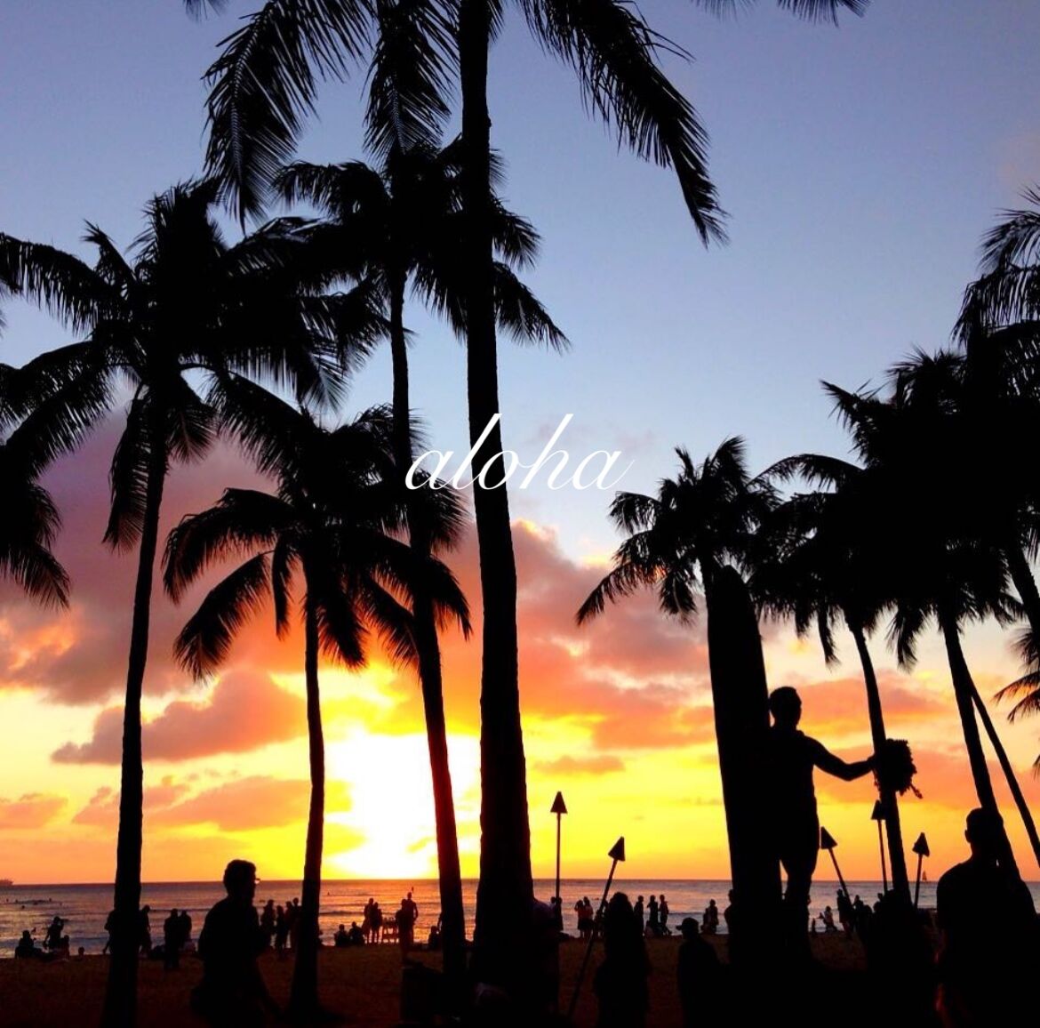 ハワイのフードコートでチップ〜⁉︎ : のほほん〜ハワイひとりごと♪