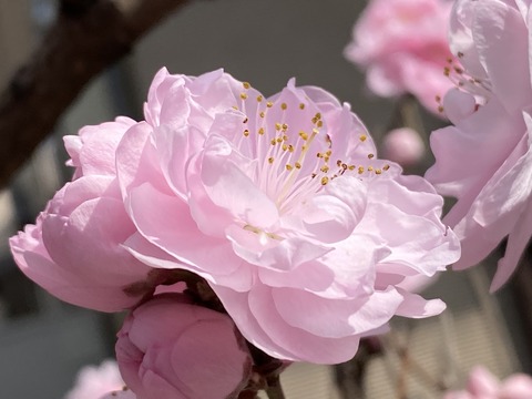 F3B0F8D1-B11D-49F5-A5DF-CFD3C2E7D05C