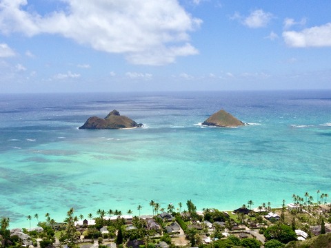 9E71B118-7408-4B24-8D12-34E5F81A7A1A