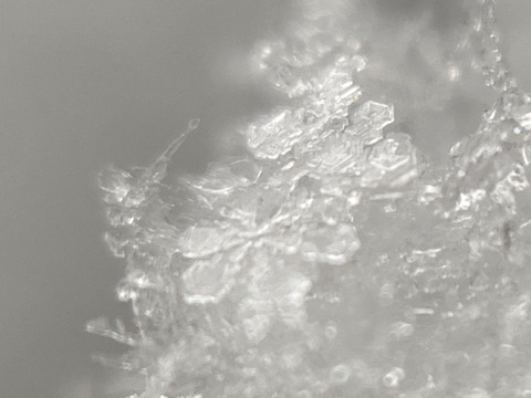 C0770C3B-50A3-4791-B837-9B990B5C3081