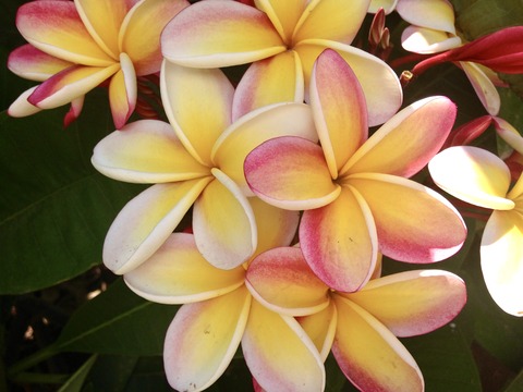 E310CD0A-9E7C-49A0-85CB-E4CDCCF2BA0B