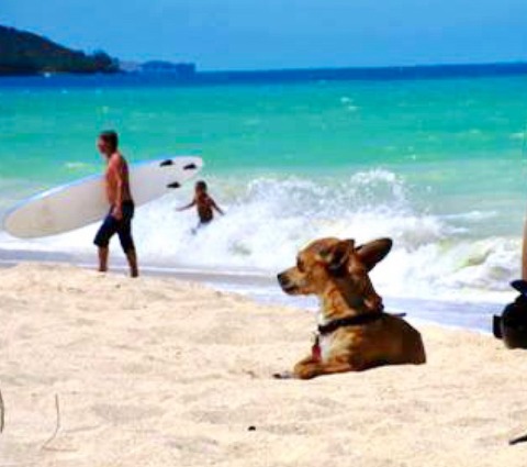 42733C79-F06B-4D53-8E54-36790BECBFFA