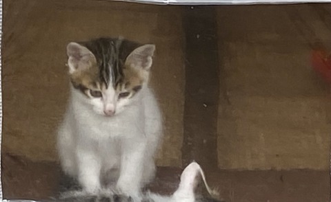 08149112-9C76-428D-B7A4-956A38267102