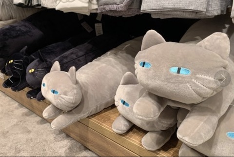 04396975-2073-47CE-B173-07A3D968E352