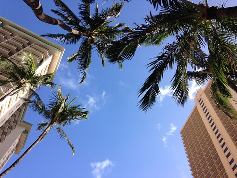 1EE255D8-49A1-4D88-AE8E-49C762F6AA7F