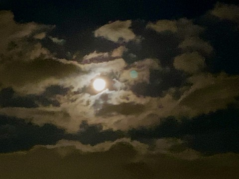 BD550223-230F-43DD-9D6C-5166AA87730C