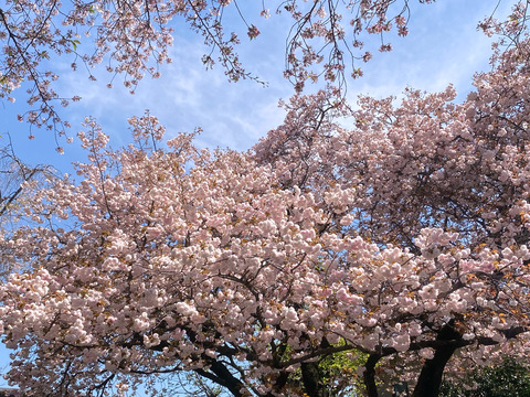 995DF67F-405B-4AE6-98AB-228AA1DFE1C1