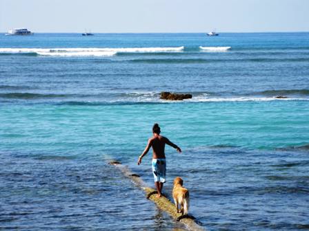 DF80C61D-8CFF-4F3D-B64A-64A498738FF7