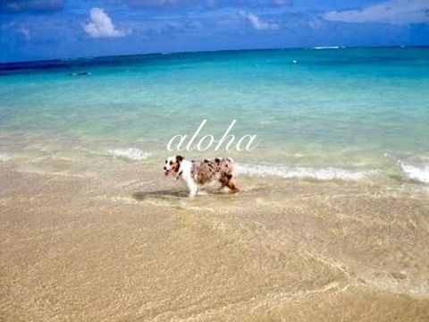 IMG_2698