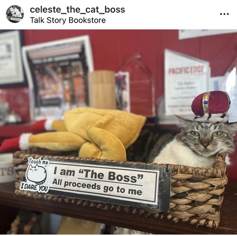 A9BEDB28-5210-4EB7-8C1B-0000F11F6CFC