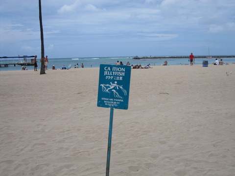 B4179795-83C5-42A6-A1B1-753890B9CC54