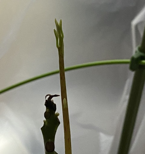 F16519FB-27C2-4C33-92FC-7500A2D8620E