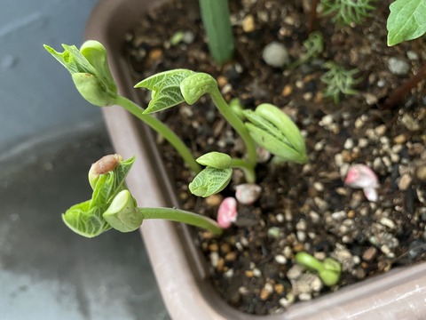 DC08E9C9-B4AC-451A-9178-19A949E9620D