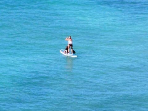 E1D0A98A-2319-4C8F-A210-CDA11C5FCD39