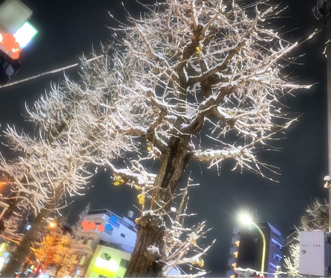 6586FAE9-3147-4A39-9C9C-AD949A291DB5