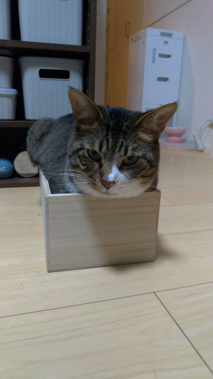 49434