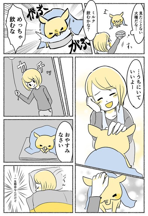 yumenoko-1st_005